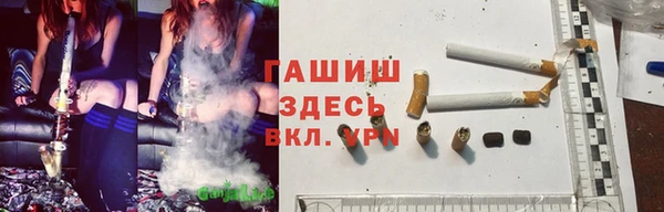 прущие грибы Зеленодольск