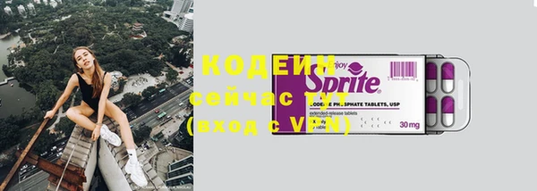 прущие грибы Зеленодольск