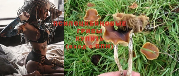 гашиш Инта