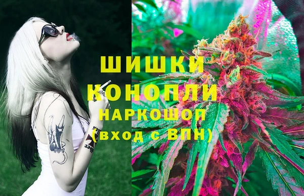 прущие грибы Зеленодольск