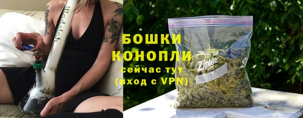 прущие грибы Зеленодольск