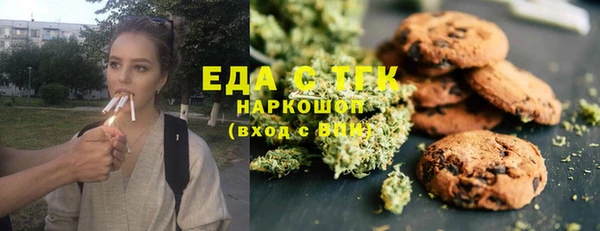 дмт Инсар