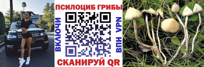 Псилоцибиновые грибы ЛСД  Купить где  Грязи 
